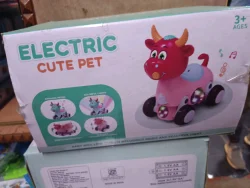 ELECTRIC MUSICAL LIGHT CUTE PET
